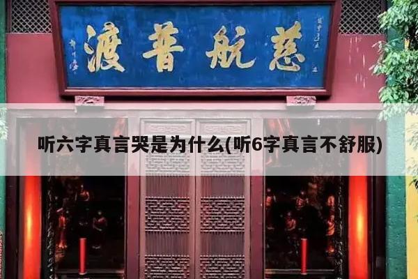 听六字真言哭是为什么(听6字真言不舒服)