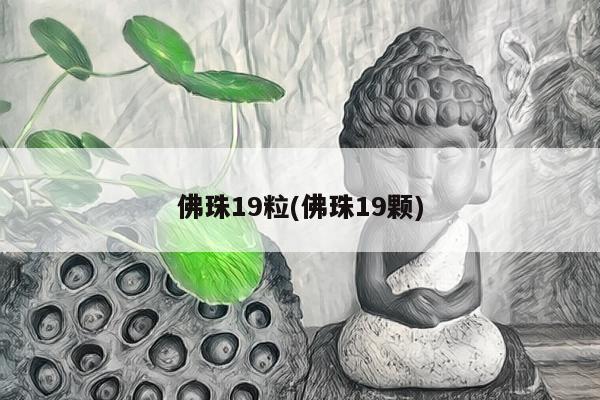 佛珠19粒(佛珠19颗)