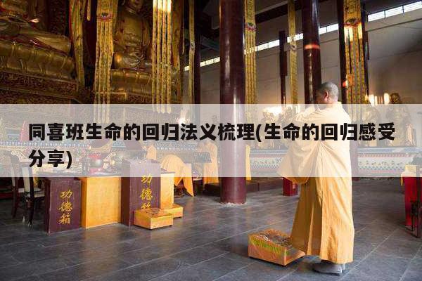 同喜班生命的回归法义梳理(生命的回归感受分享)