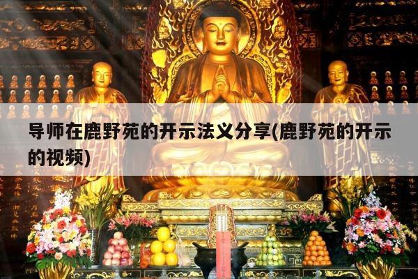 导师在鹿野苑的开示法义分享(鹿野苑的开示的视频)
