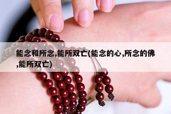 能念和所念,能所双亡(能念的心,所念的佛,能所双亡)