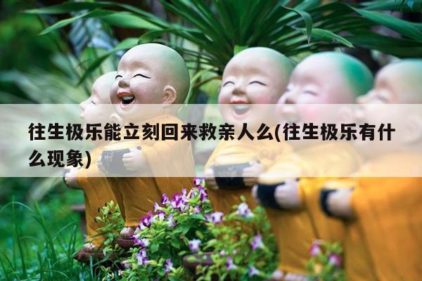 往生极乐能立刻回来救亲人么(往生极乐有什么现象)