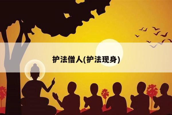 护法僧人(护法现身)