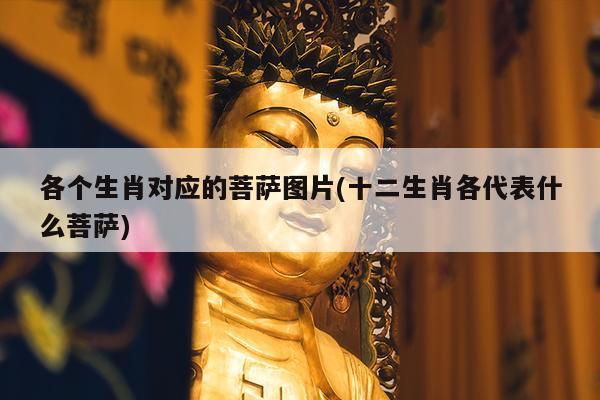 各个生肖对应的菩萨图片(十二生肖各代表什么菩萨)