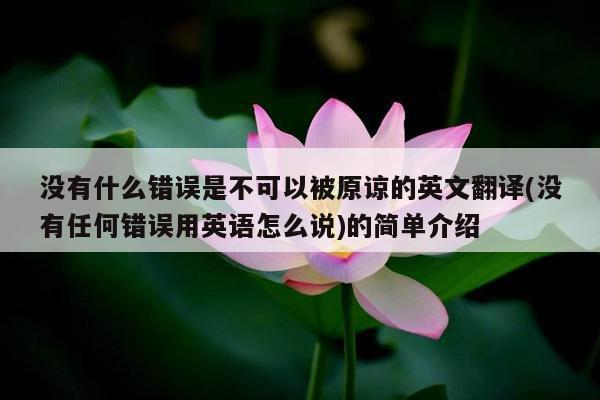 没有什么错误是不可以被原谅的英文翻译(没有任何错误用英语怎么说)的简单介绍