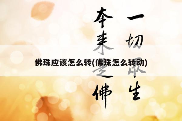 佛珠应该怎么转(佛珠怎么转动)