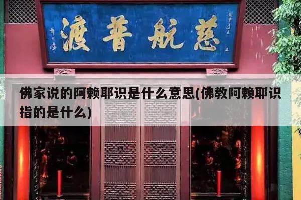 佛家说的阿赖耶识是什么意思(佛教阿赖耶识指的是什么)