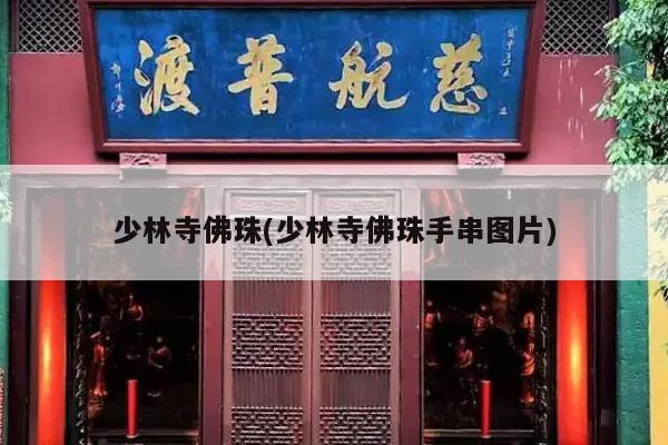 少林寺佛珠(少林寺佛珠手串图片)