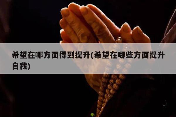 希望在哪方面得到提升(希望在哪些方面提升自我)