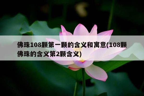 佛珠108颗第一颗的含义和寓意(108颗佛珠的含义第2颗含义)