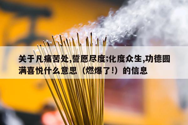 关于凡痛苦处,誓愿尽度;化度众生,功德圆满喜悦什么意思（燃爆了!）的信息