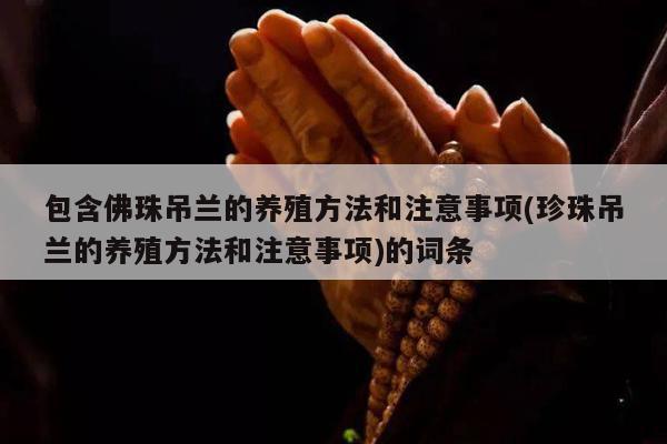 包含佛珠吊兰的养殖方法和注意事项(珍珠吊兰的养殖方法和注意事项)的词条