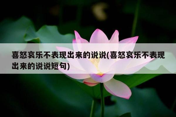 喜怒哀乐不表现出来的说说(喜怒哀乐不表现出来的说说短句)