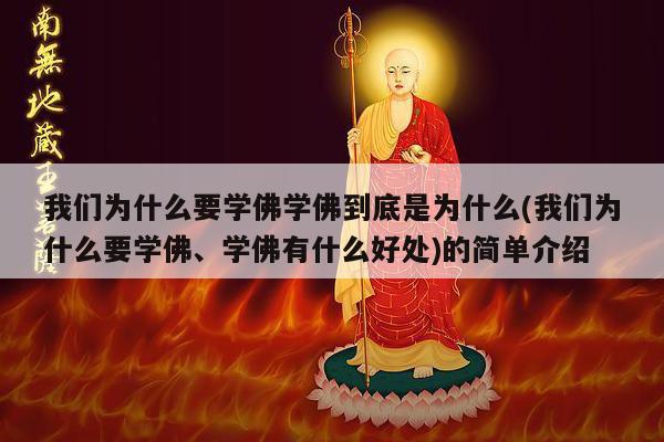 我们为什么要学佛学佛到底是为什么(我们为什么要学佛、学佛有什么好处)的简单介绍