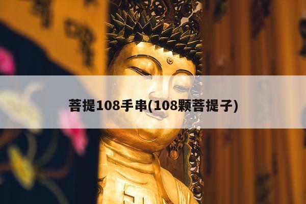 菩提108手串(108颗菩提子)