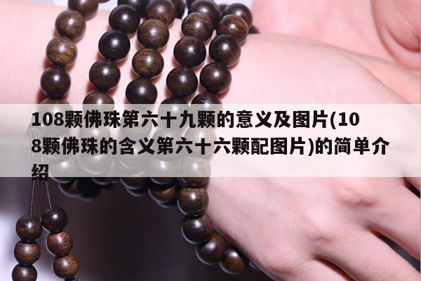 108颗佛珠第六十九颗的意义及图片(108颗佛珠的含义第六十六颗配图片)的简单介绍