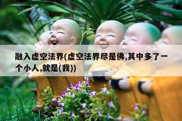 融入虚空法界(虚空法界尽是佛,其中多了一个小人,就是(我))