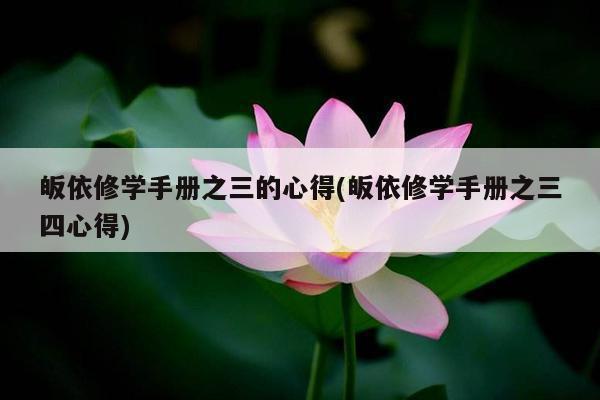 皈依修学手册之三的心得(皈依修学手册之三四心得)