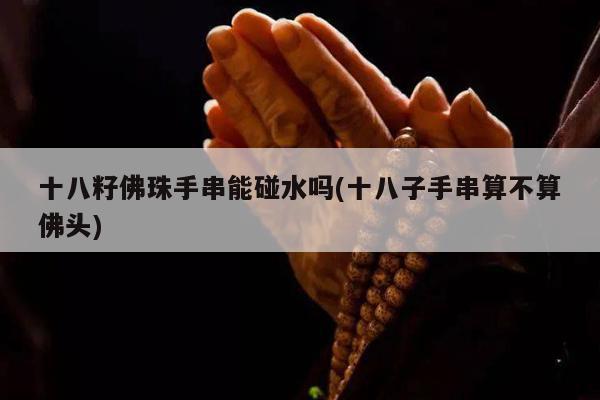 十八籽佛珠手串能碰水吗(十八子手串算不算佛头)
