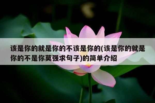 该是你的就是你的不该是你的(该是你的就是你的不是你莫强求句子)的简单介绍