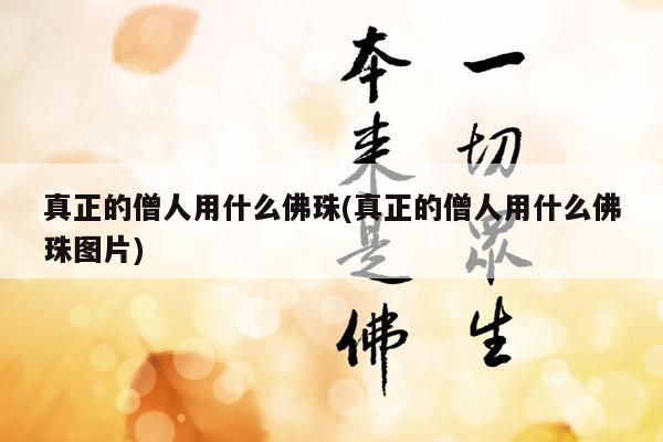 真正的僧人用什么佛珠(真正的僧人用什么佛珠图片)