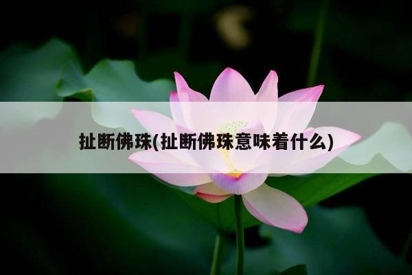 扯断佛珠(扯断佛珠意味着什么)
