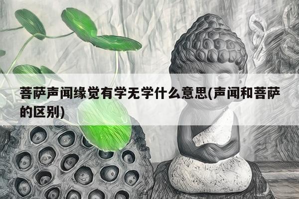 菩萨声闻缘觉有学无学什么意思(声闻和菩萨的区别)