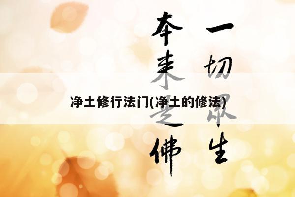 净土修行法门(净土的修法)
