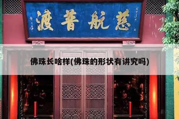 佛珠长啥样(佛珠的形状有讲究吗)