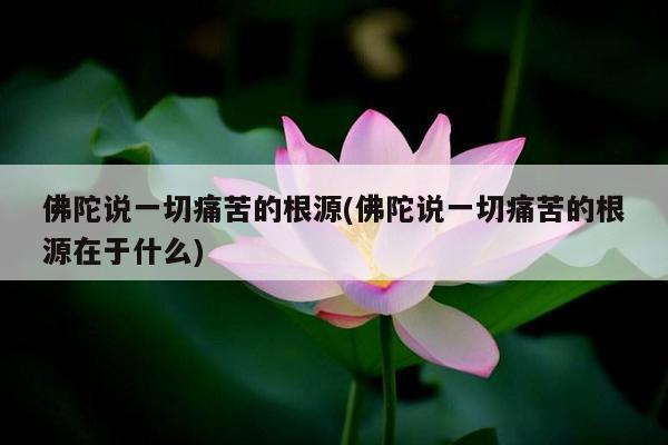 佛陀说一切痛苦的根源(佛陀说一切痛苦的根源在于什么)