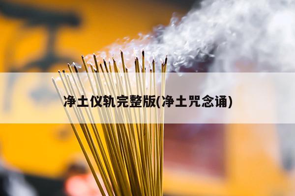 净土仪轨完整版(净土咒念诵)