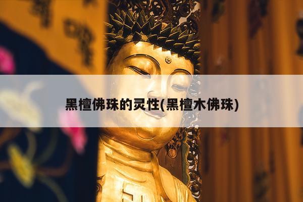 黑檀佛珠的灵性(黑檀木佛珠)