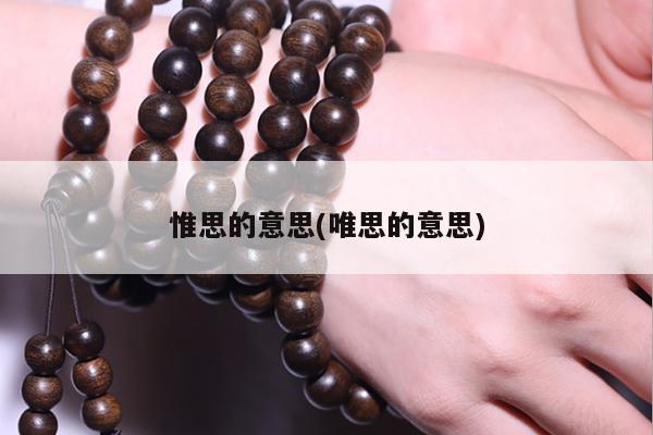 惟思的意思(唯思的意思)
