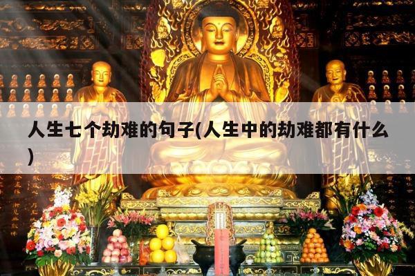 人生七个劫难的句子(人生中的劫难都有什么)