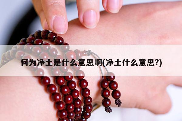 何为净土是什么意思啊(净土什么意思?)