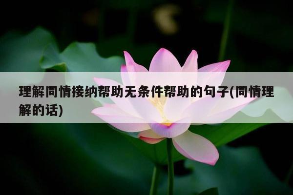 理解同情接纳帮助无条件帮助的句子(同情理解的话)