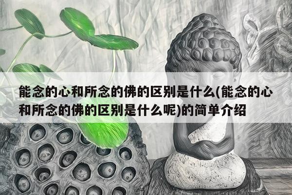 能念的心和所念的佛的区别是什么(能念的心和所念的佛的区别是什么呢)的简单介绍