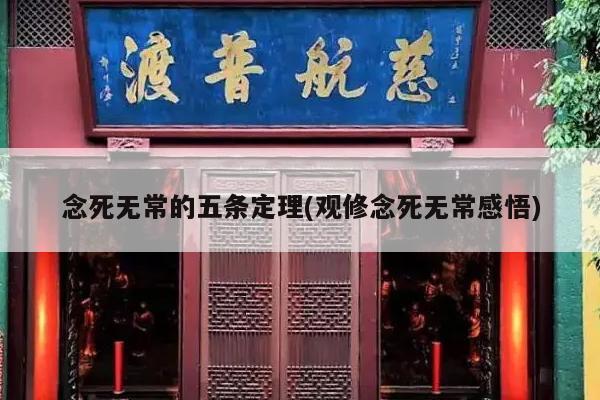 念死无常的五条定理(观修念死无常感悟)