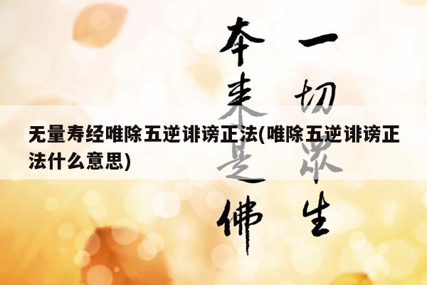 无量寿经唯除五逆诽谤正法(唯除五逆诽谤正法什么意思)