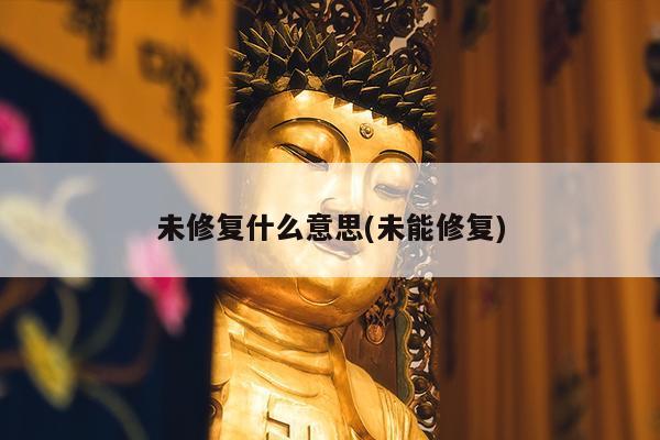 未修复什么意思(未能修复)