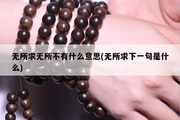 无所求无所不有什么意思(无所求下一句是什么)