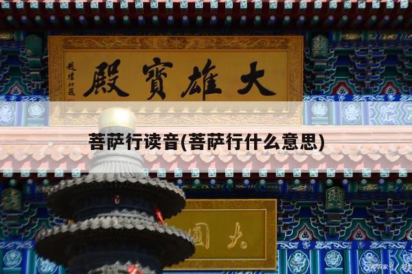 菩萨行读音(菩萨行什么意思)