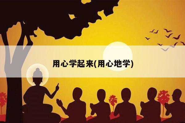 用心学起来(用心地学)
