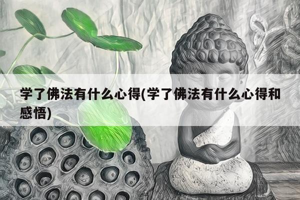 学了佛法有什么心得(学了佛法有什么心得和感悟)