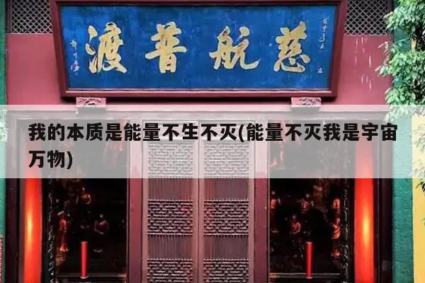 我的本质是能量不生不灭(能量不灭我是宇宙万物)