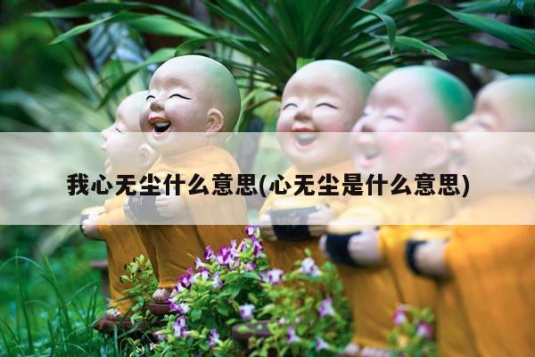 我心无尘什么意思(心无尘是什么意思)