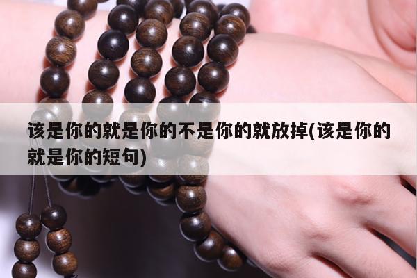 该是你的就是你的不是你的就放掉(该是你的就是你的短句)
