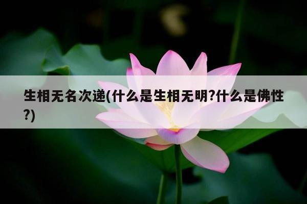 生相无名次递(什么是生相无明?什么是佛性?)