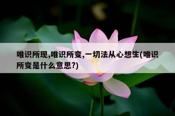 唯识所现,唯识所变,一切法从心想生(唯识所变是什么意思?)