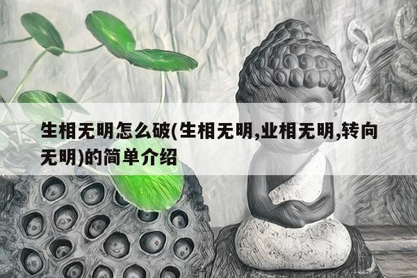 生相无明怎么破(生相无明,业相无明,转向无明)的简单介绍